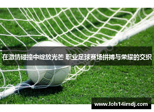 在激情碰撞中绽放光芒 职业足球赛场拼搏与荣耀的交织