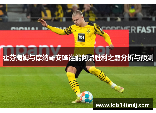 霍芬海姆与摩纳哥交锋谁能问鼎胜利之巅分析与预测