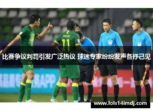 比赛争议判罚引发广泛热议 球迷专家纷纷发声各抒己见