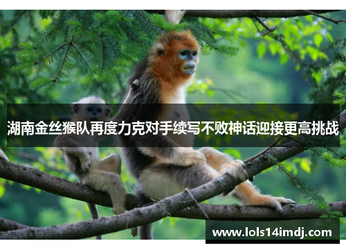 湖南金丝猴队再度力克对手续写不败神话迎接更高挑战