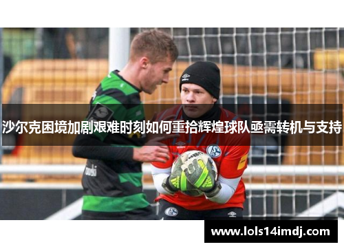 沙尔克困境加剧艰难时刻如何重拾辉煌球队亟需转机与支持