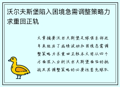 沃尔夫斯堡陷入困境急需调整策略力求重回正轨