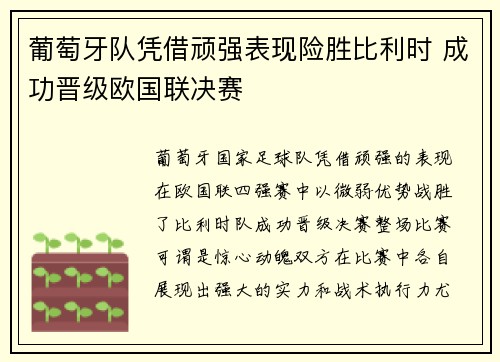 葡萄牙队凭借顽强表现险胜比利时 成功晋级欧国联决赛