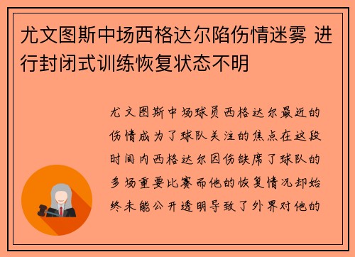 尤文图斯中场西格达尔陷伤情迷雾 进行封闭式训练恢复状态不明
