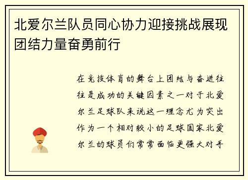 北爱尔兰队员同心协力迎接挑战展现团结力量奋勇前行