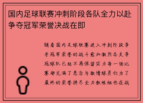 国内足球联赛冲刺阶段各队全力以赴争夺冠军荣誉决战在即