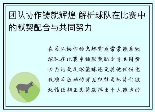 团队协作铸就辉煌 解析球队在比赛中的默契配合与共同努力