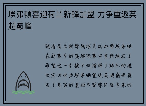 埃弗顿喜迎荷兰新锋加盟 力争重返英超巅峰