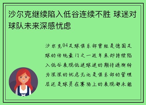 沙尔克继续陷入低谷连续不胜 球迷对球队未来深感忧虑